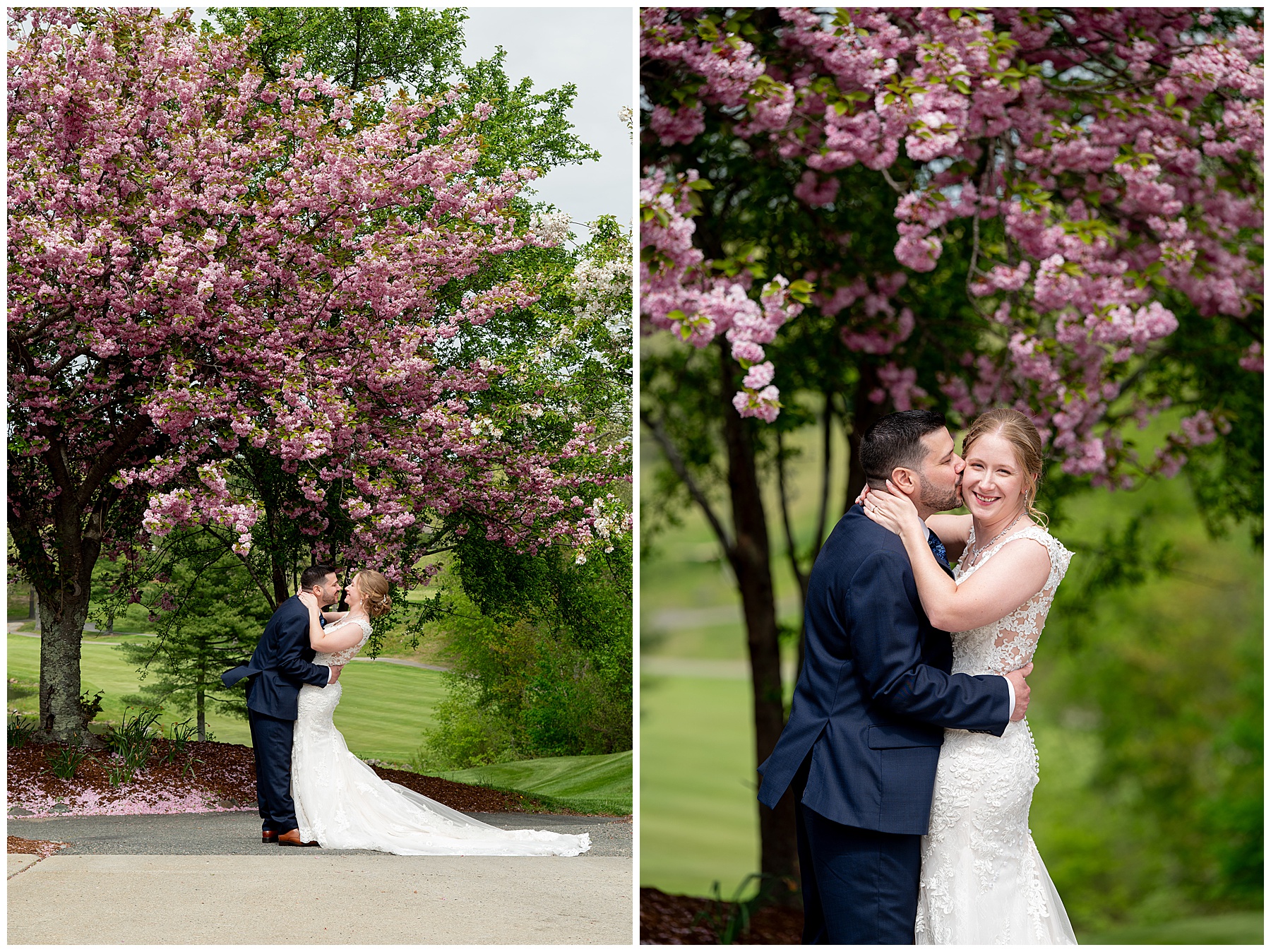 bride and groom embrace in front of a pink blossom tree at Ipswich Country Club