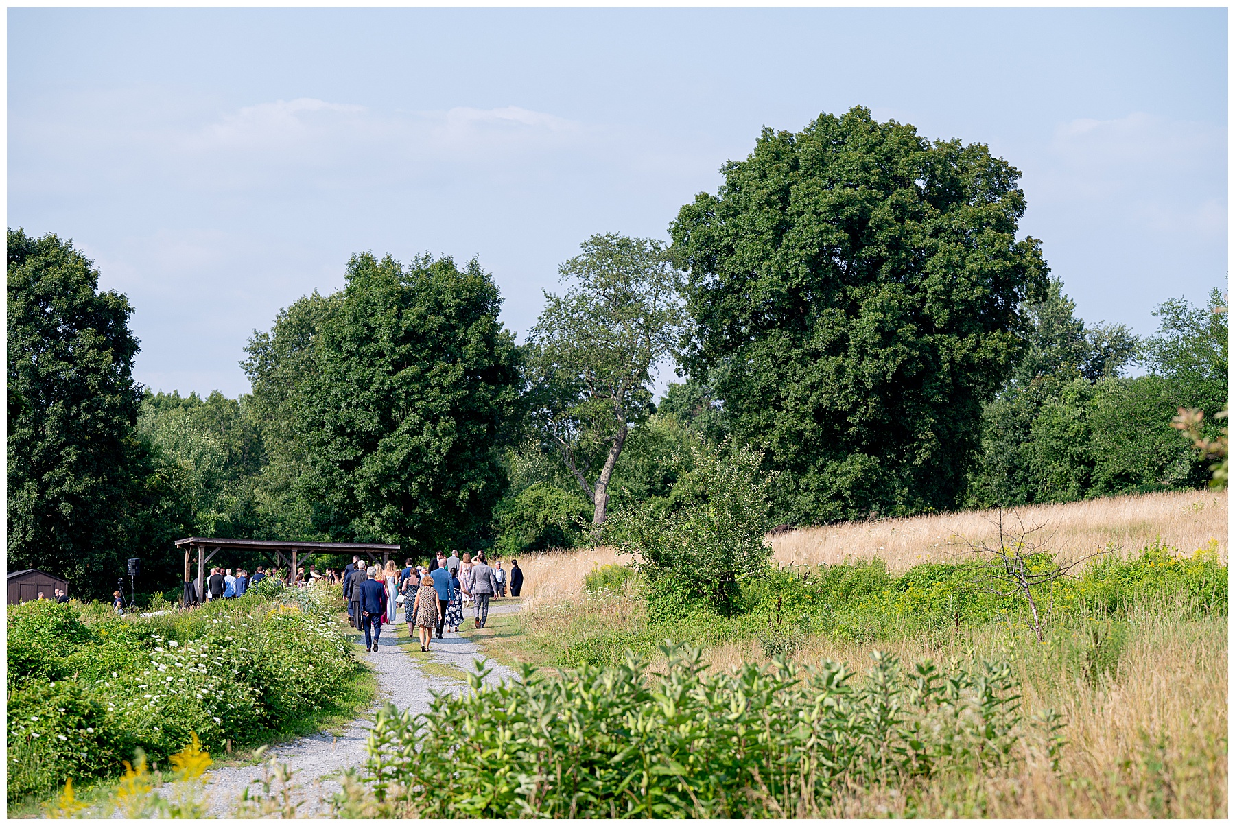 guests walking down a path to the wedding ceremony at fruitlands museum in harvard, ma 