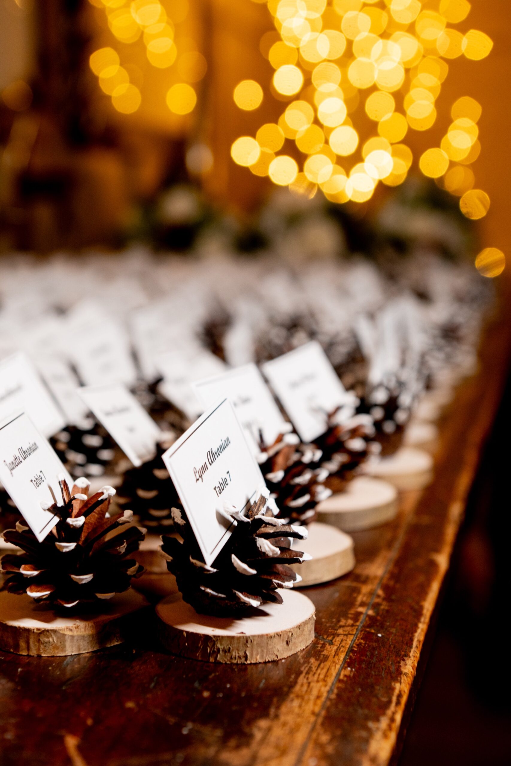 a Winter Wonderland Wedding seating chart of pine cones holding the name cards