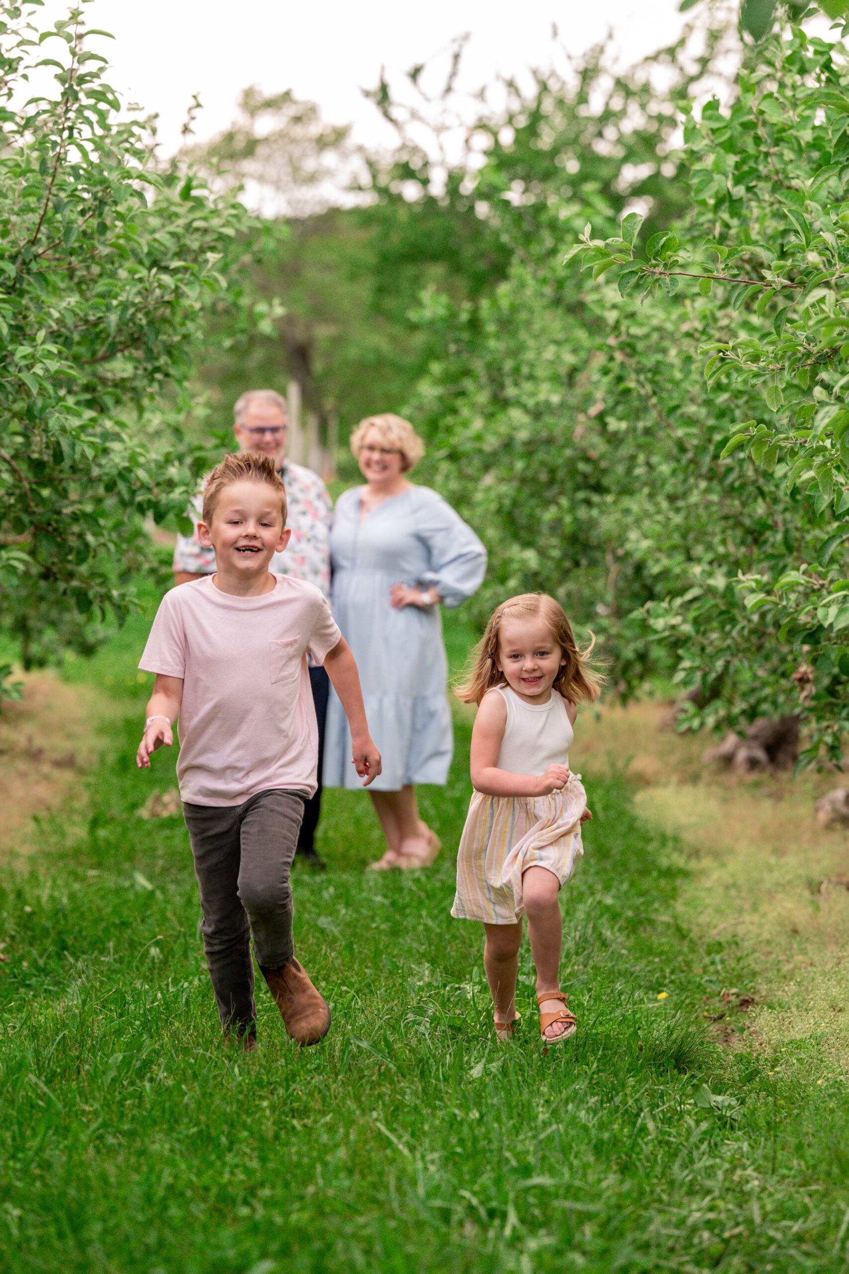 two kids running ahead of their parents in the apple orchard for spring family portraits