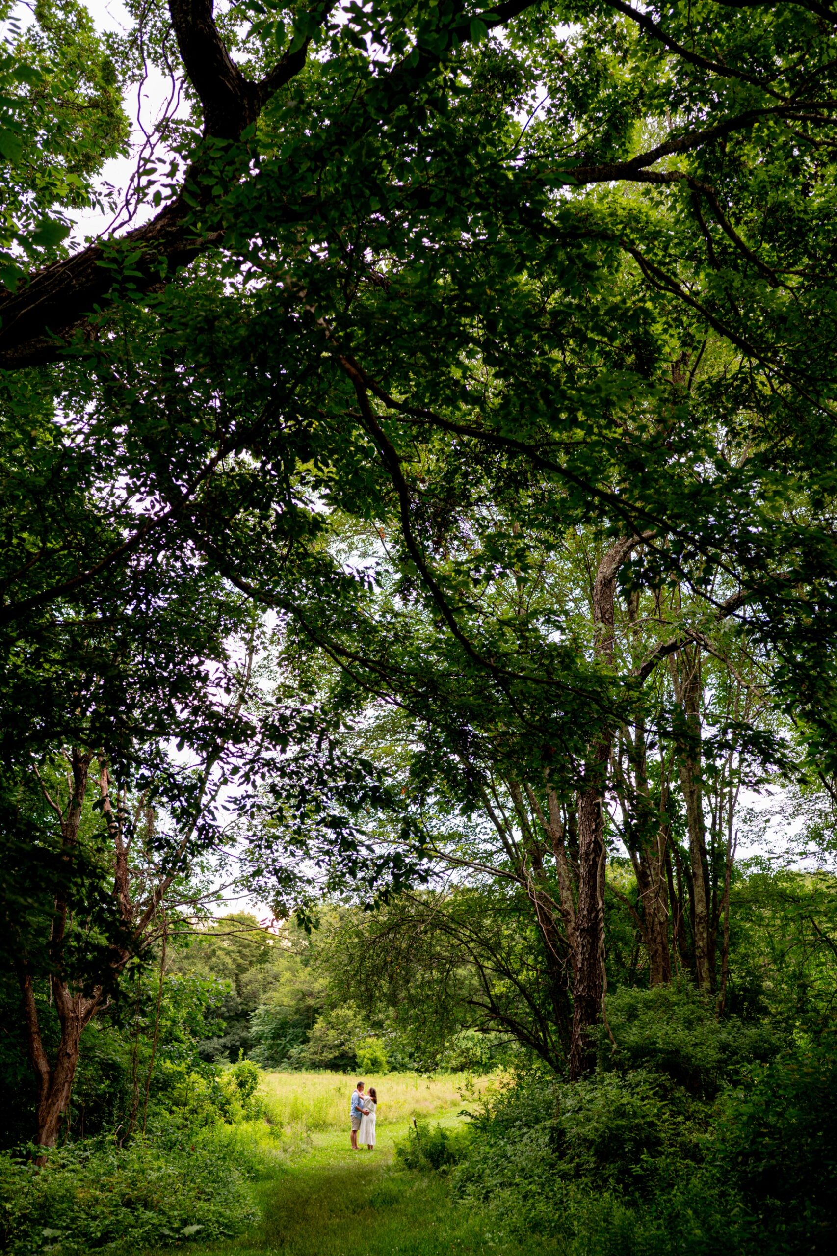 couple standing off in the distance in a green field for their engagement session 