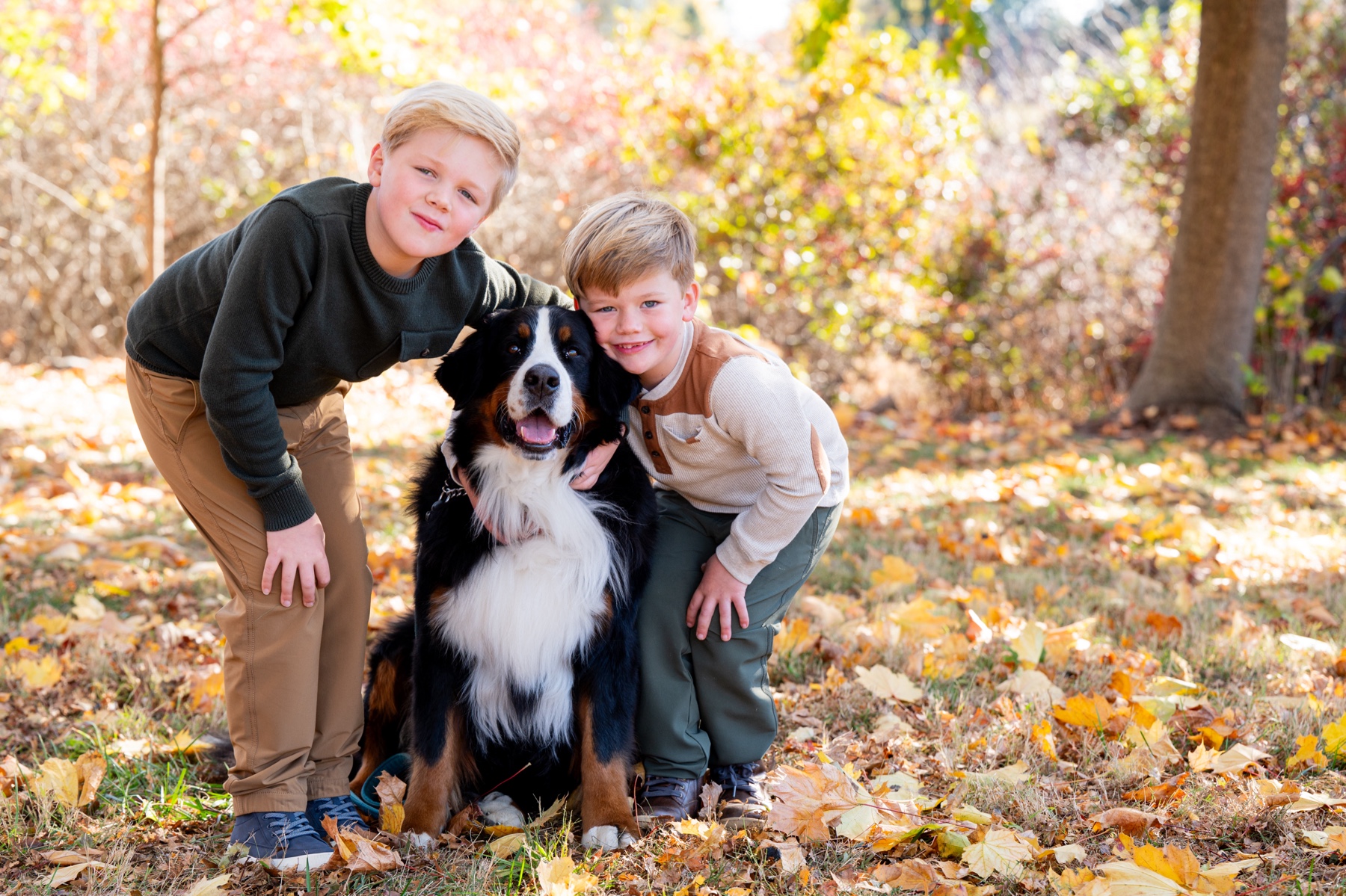 two young boys posing with their black dog surrounded by fall leaves 