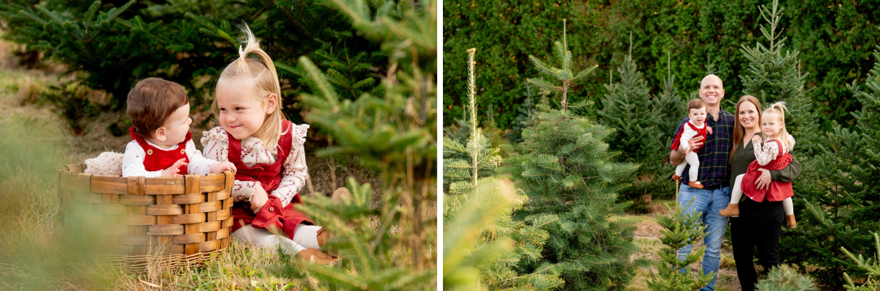 two young girls with their parents at the christmas tree farm