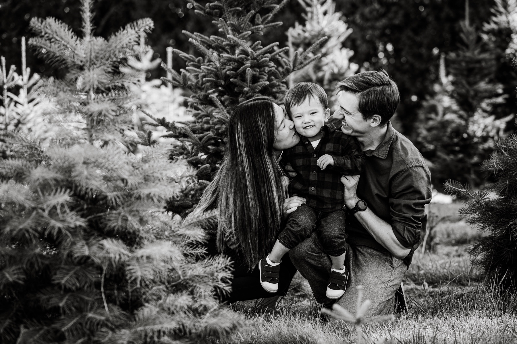 parents sitting with young boy surrounded by pine trees