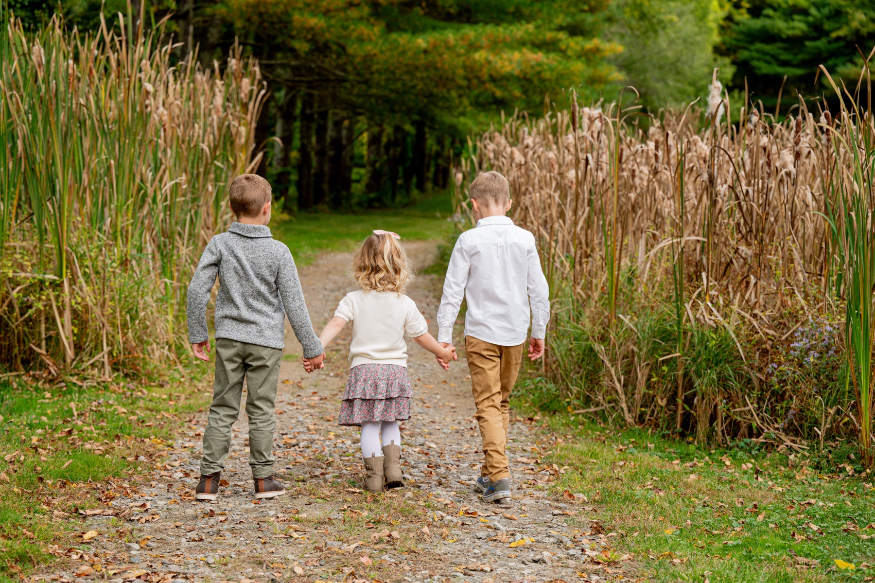 two boys and a girl walk along a woodsy path in a Sterling MA backyard family session